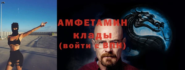 СК Алексин