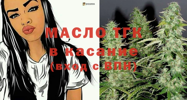 СК Алексин