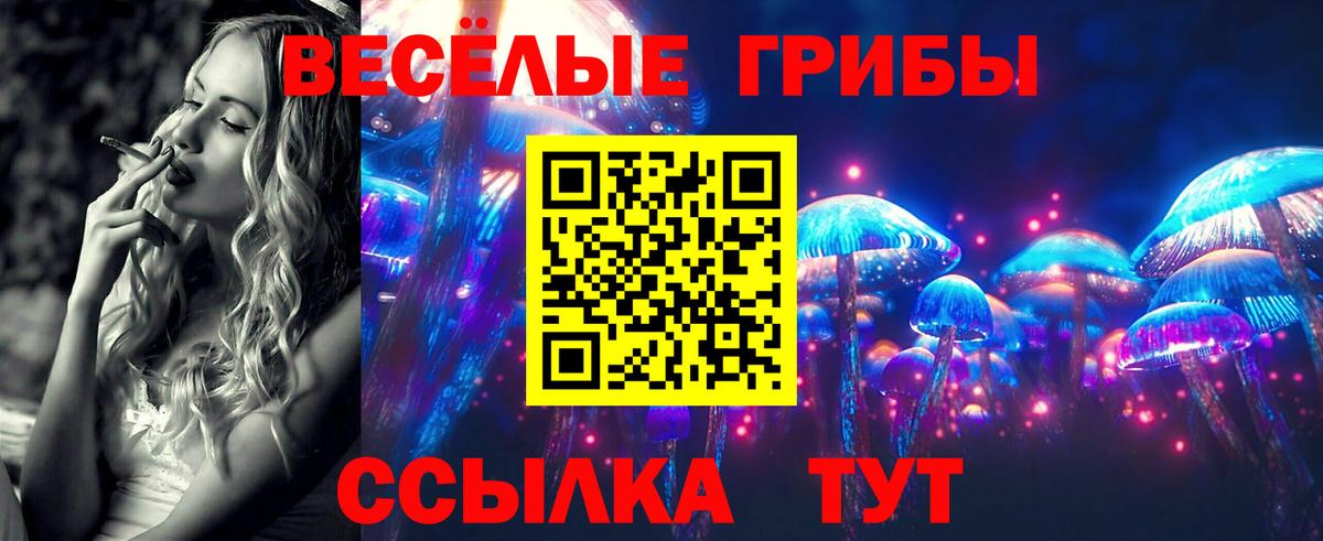 Галлюциногенные грибы Psilocybe Туймазы